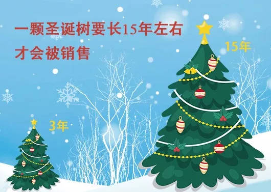 中國最早報道圣誕節的竟是《人民日報》，你不知道的10個圣誕小知識